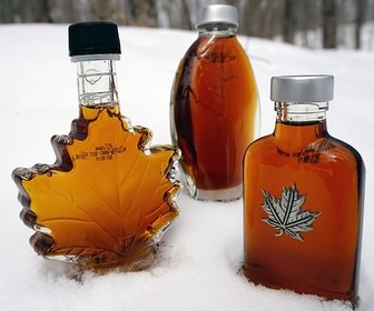 Replay Canada, le pays du sirop d'érable - 360° Reportage