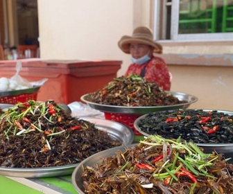 Replay Cambodge, le marché aux insectes - Marchés du monde