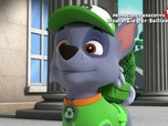 Replay Paw Patrol, la Pat'Patrouille - L'équipe au grand complet