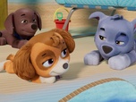 Replay Paw Patrol, la Pat'Patrouille - Les vacances de M. Hellinger
