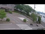 Replay Un ours pourchasse et attaque des ouvriers au Japon