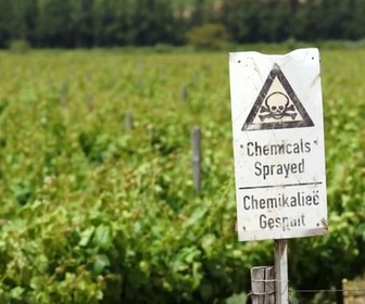 Replay Une Europe sans pollution ? - Pesticides : interdits dans l'UE, exportés à l'étranger