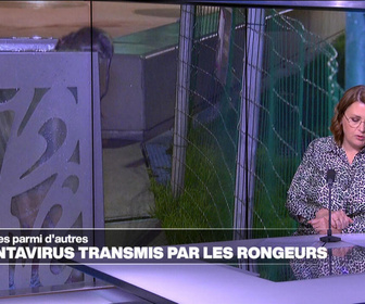 Replay Élément Terre, la quotidienne - Les hantavirus: des zoonoses transmises par les déjections des rongeurs