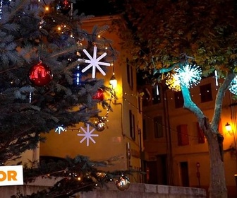 Replay Un Noël durable - ARTE Junior, le mag