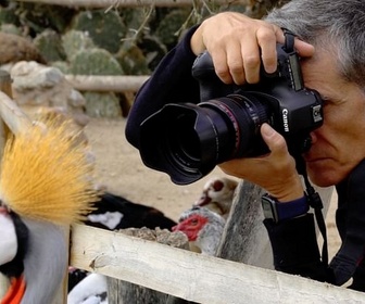 Focus photographie replay