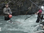 Replay Alaska, la ruée vers l'or : Dakota boys - S5E11 - L'or maudit