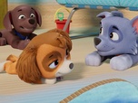 Replay Paw Patrol, la Pat'Patrouille - Les vacances de M. Hellinger
