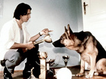 Replay Rex, chien flic - Tricher n'est pas jouer