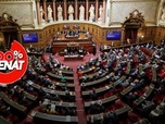 Replay 100% Sénat - Examen du projet de loi de refondation de Mayotte