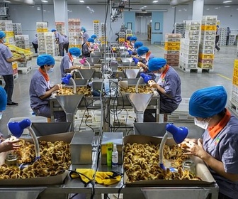 Replay La face cachée de l'industrie alimentaire (1/2)