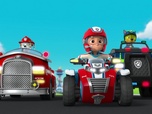 Replay Paw Patrol, la Pat'Patrouille - Les mésanges charbonnières