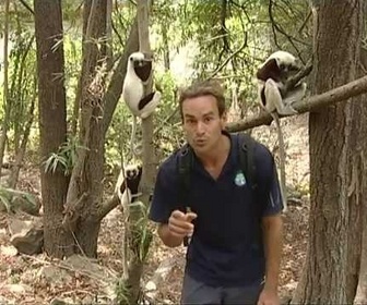 Replay Latitude Malgache - Anjohibé. Au cœur de la terre - Madagascar