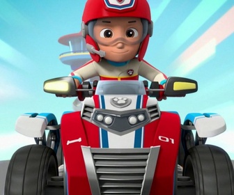 Replay Paw Patrol, la Pat'Patrouille - Le petit chat perché