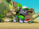 Replay Paw Patrol, la Pat'Patrouille - Sauvons les tortues