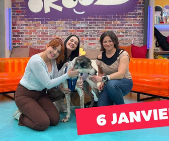 Replay Okoo-koo - 06/01/2026