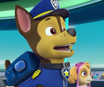 Replay Paw Patrol, la Pat'Patrouille - La Kermesse de la Grande Vallée