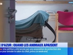 Replay Les longs formats des Locales - Côte d'Azur : quand les animaux apaisent