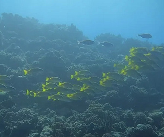 Replay C pas si loin - 09/04/2026