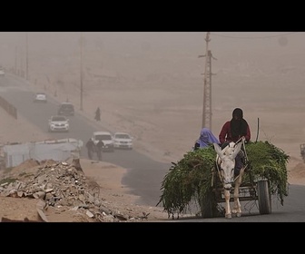 Replay Les éleveurs de Cisjordanie utilisent des ânes et des tranchées pour transporter le lait de nuit