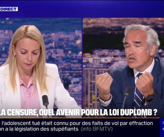 Replay 20H BFM - Loi Duplomb: le Conseil constitutionnel remis en cause par le RN