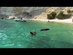 Replay Grèce : Atokos la petite île où humains et cochons se baignent et bronzent ensemble