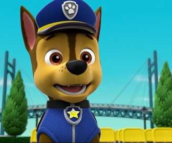 Replay Paw Patrol, la Pat'Patrouille - Tous en scène !