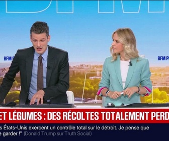 Replay BFM Première - BFM éco : Fruits et légumes, des récoltes totalement perdues - 13/08
