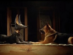 Replay Rex, chien flic - Sous l'oeil d'Anubis