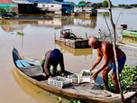 Replay Cambodge, les pêcheurs nomades du Tonlé Sap - 360° Reportage