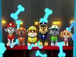 Replay Paw Patrol, la Pat'Patrouille - S01 E04 - La baleine échouée