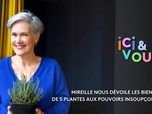 Replay ici et vous - Mireille nous dévoile les bienfaits de 5 plantes aux pouvoirs insoupçonnés