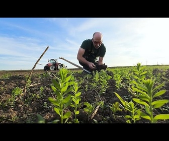 Replay Les agriculteurs biologiques ont-ils encore une chance en Europe ?