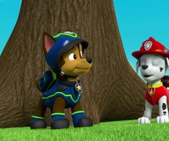 Replay Paw Patrol, la Pat'Patrouille - La Pat'Patrouille sauve Luke Stars