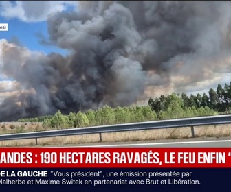 Replay BFM Première - Landes: le feu déclenché dans un parc photovoltaïque fixé, 190 hectares ravagés
