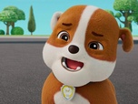 Replay Paw Patrol, la Pat'Patrouille - L'alliance des trois méchants