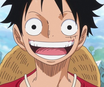 Replay One piece - S18 E21 - Une situation explosive. Le chat, le chien et les samouraïs !