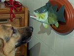 Replay Rex, chien flic - Le crocodile du Danube