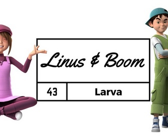 Replay Linus & Boom - Larva