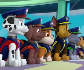 Replay Paw Patrol, la Pat'Patrouille - Sauvetage Extrême : Les petits chats du roi ont disparu