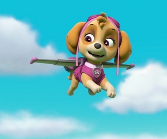 Replay Paw Patrol, la Pat'Patrouille - Le baleineau
