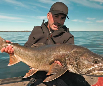 Replay Pêche XXL : derniers géants - S4E8 - Prédateurs de l'Arctique