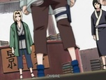 Replay Naruto - S6 E20 - À la recherche des insectes flaireurs