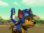 Replay Paw Patrol, la Pat'Patrouille - Mission Dino : Le ptérodactyle