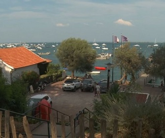 Replay Urgence climatique : un défi mondial - Canicules marines dans le Bassin Arcachon