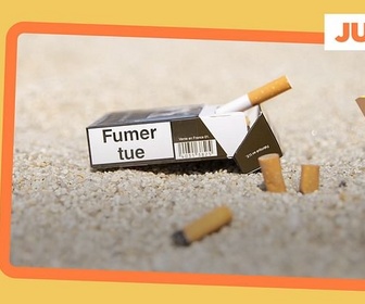 Replay De nouvelles zones non-fumeurs en France - ARTE Journal Junior