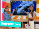 Replay Okoo-koo - 09/09/2026