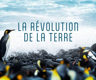 Replay Une année sur terre - 19/05/2026