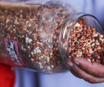 Replay ARTE Journal - Pour une autosuffisance alimentaire à Gaza