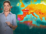 Replay Canicule : quels effets sur les océans ? - Le dessous des cartes - L'essentiel