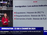 Replay BFM Story - LES ÉCLAIREURS - Les chiffres de l'immigration en 2024